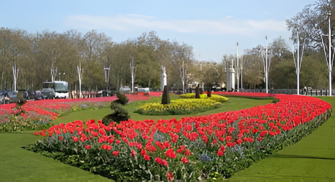 image-Picsart-AiImageEnhancer (11).png